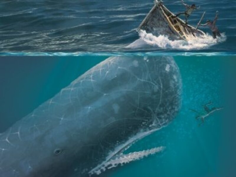 Book cover of Moby Dick by Herman Melville