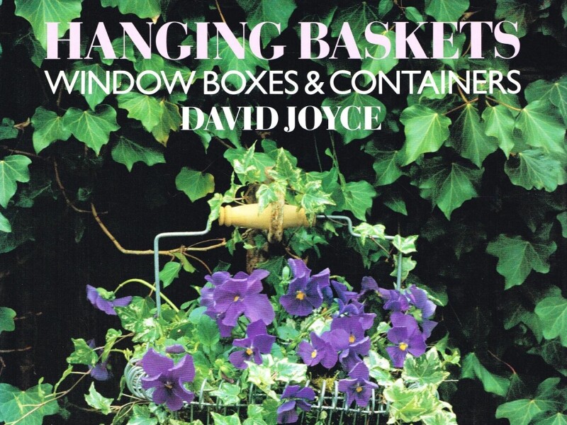 Hanging Baskets.jpg