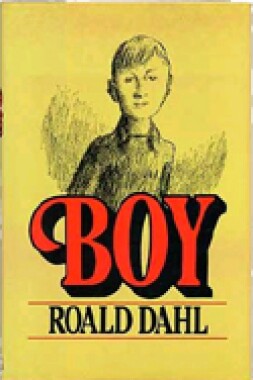 Boy