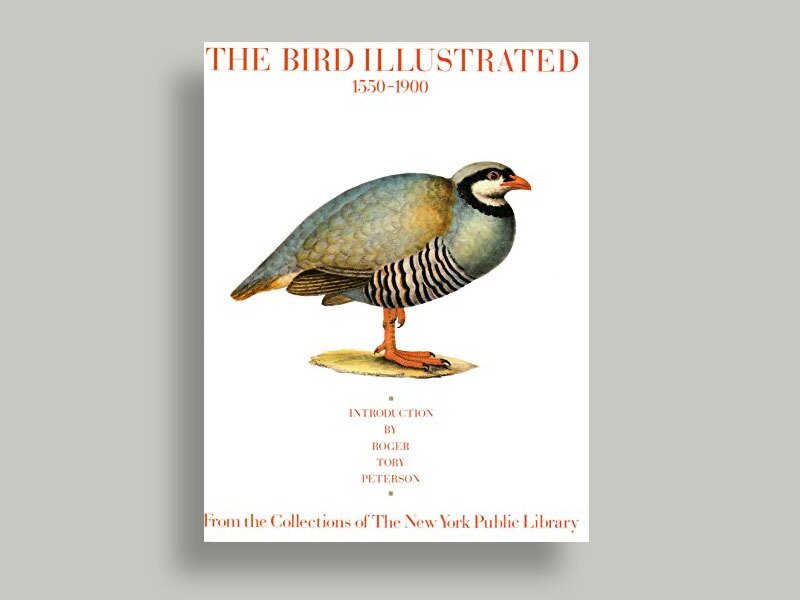Book genre - Birds
