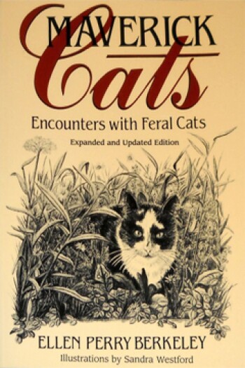 Maverick Cats by Ellen Perry Berkeley