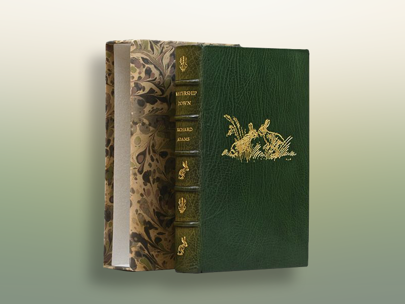 promo_book_as_art.png
