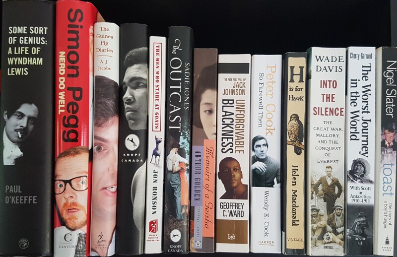 Faces on spines bookshelf