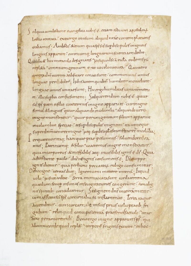 Early vellum manuscript leaf from a Carolingian homiliary in Latin