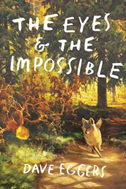 The Eyes and the Impossible Book Cover