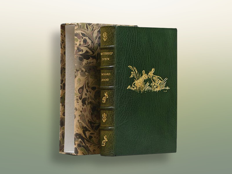 promo_book_as_art.png