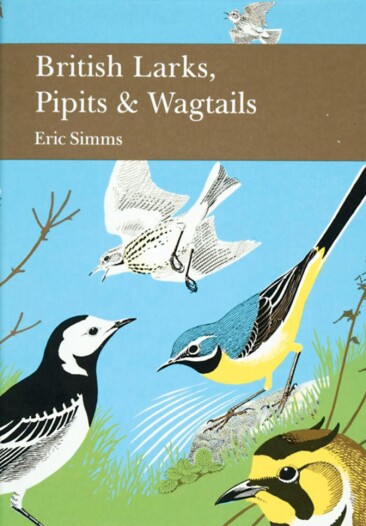 British Larks, Pipits and Wagtails.jpg