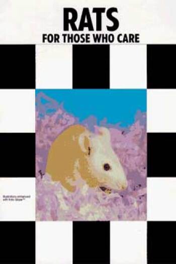 Rats for Those Who Care