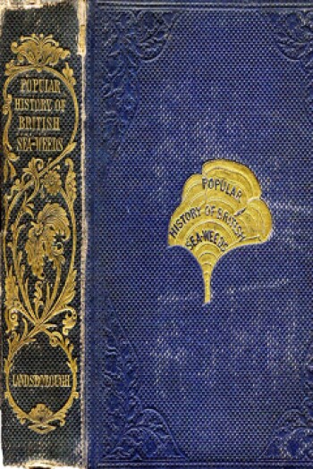 A Popular History of British Seaweeds by Rev. D. Landsborough