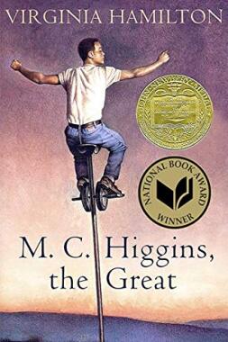 M. C. Higgins, the Great by Virginia Hamilton.jpg