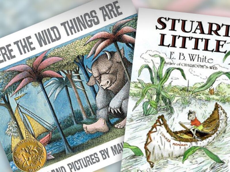 The Best Boosk for Children