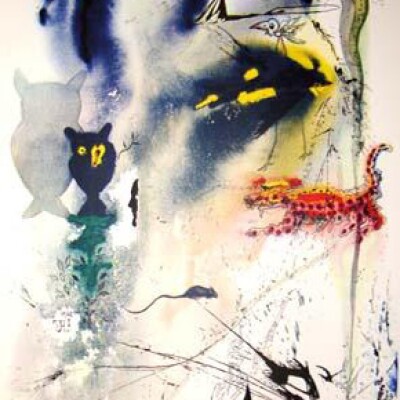 Alice's Adventures in Wonderland with twelve illustrations by Salvador Dali