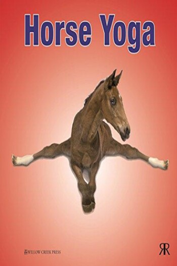 Horse Yoga