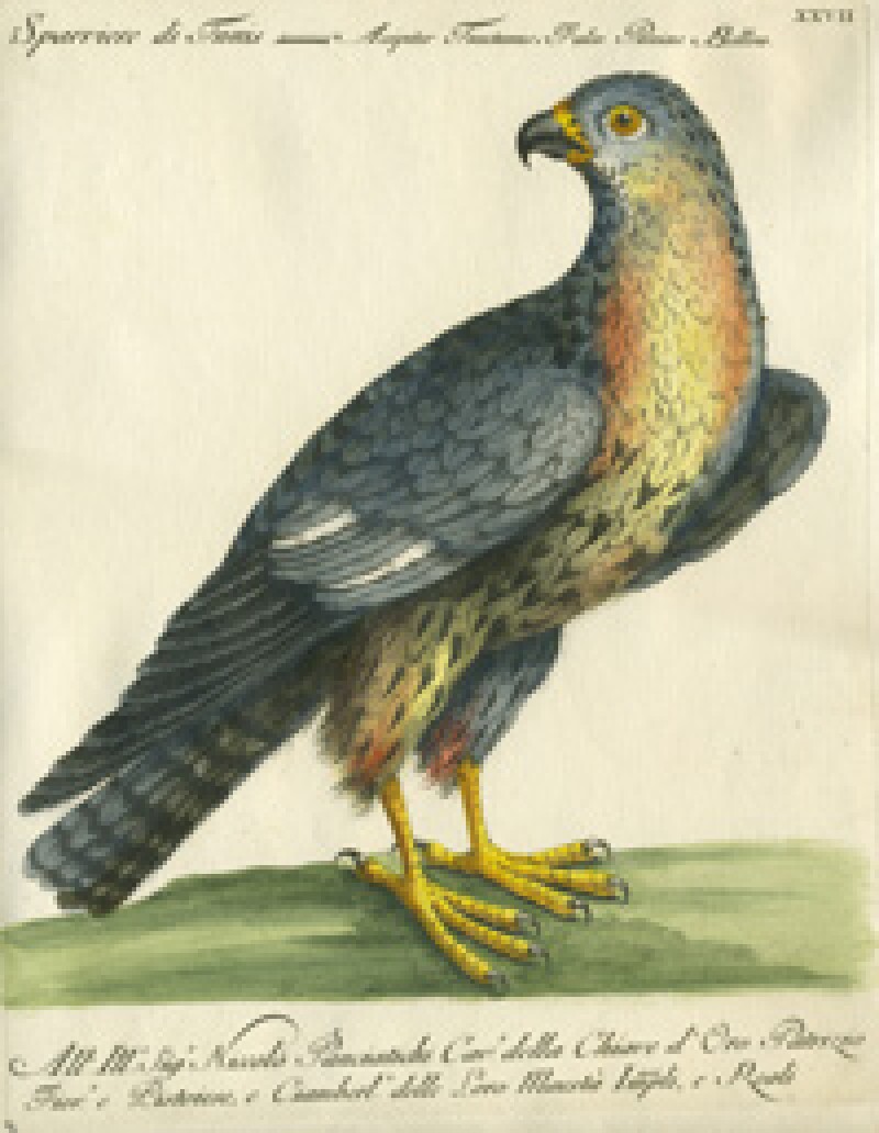 Vogel13-moxtexpjan15.jpg