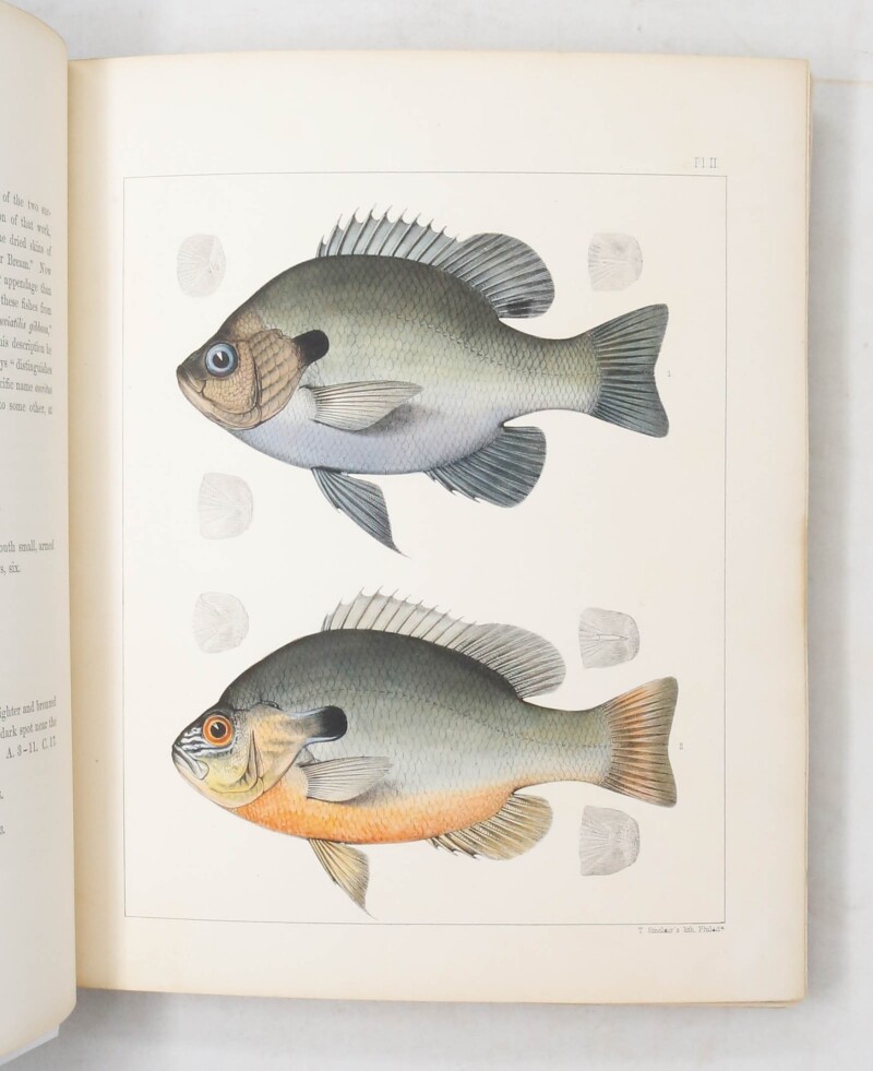 Ichthyology of South Carolina