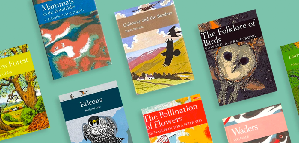 abebooks shop for books art collectibles