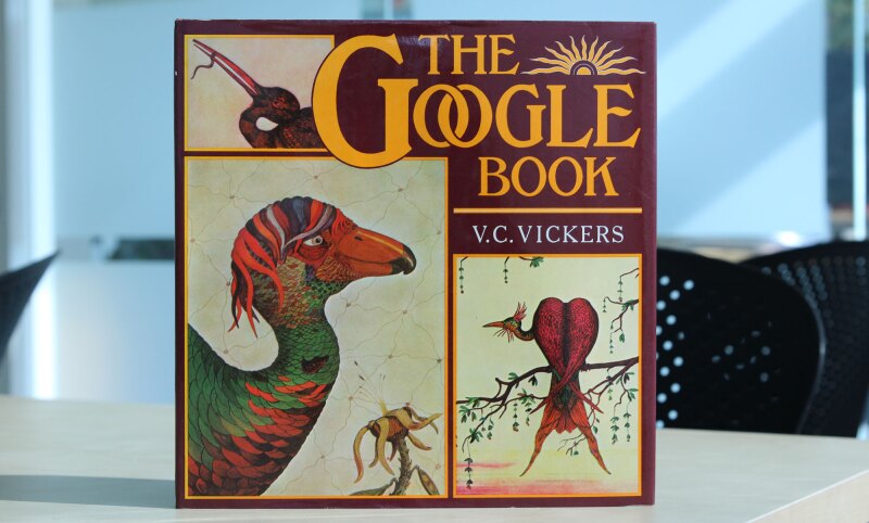 The Google Book