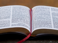 Evaluer sa collection