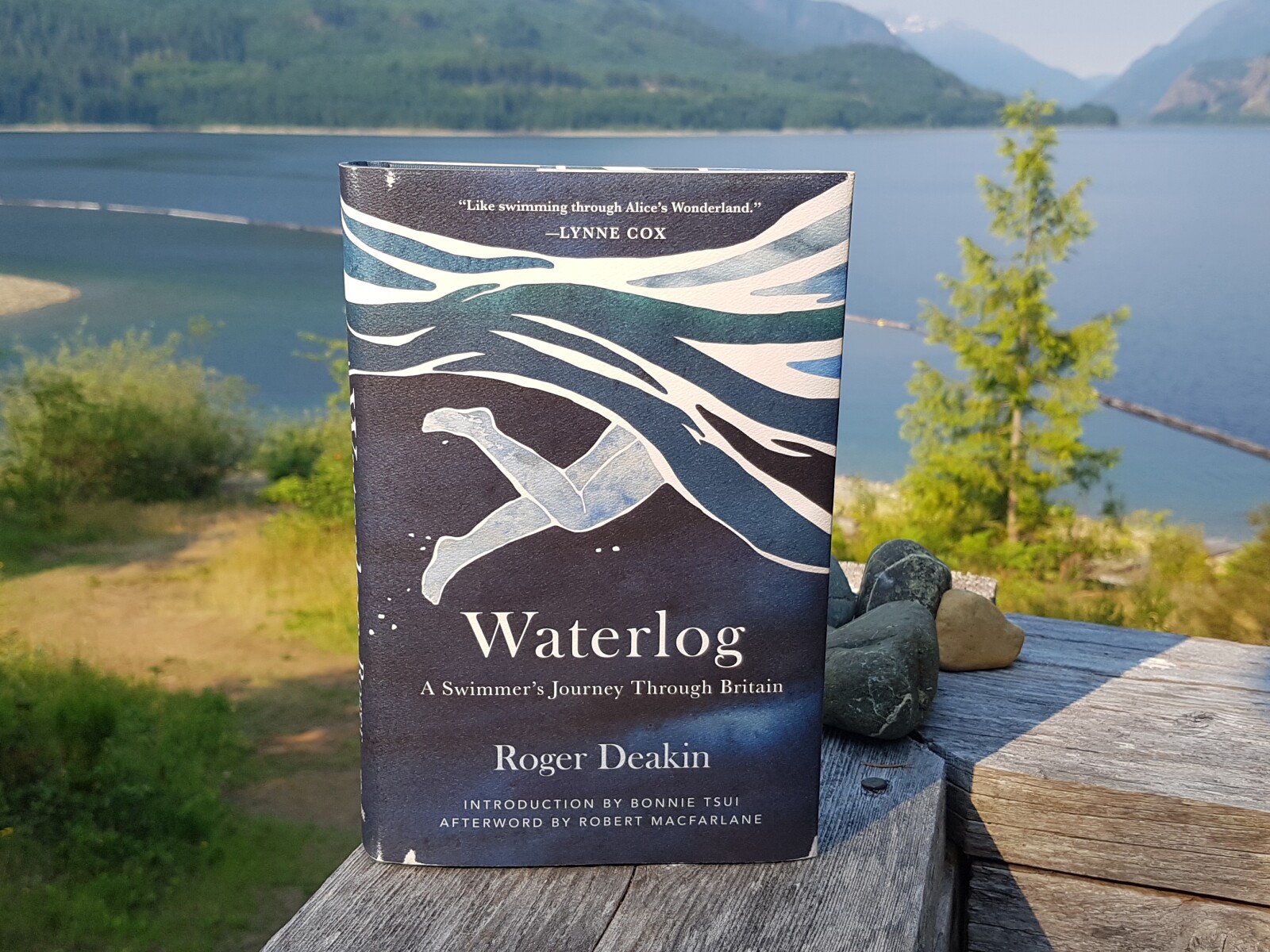 NEW USED BOOKS visual data 8