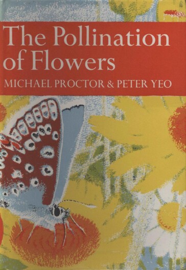 The Pollination of Flowers.jpg